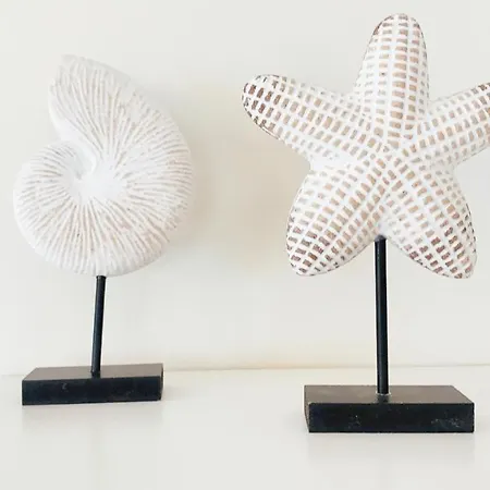 Ruim, Lichtrijk Met Groot Terras Uitstekend Gelegen In * De Panne