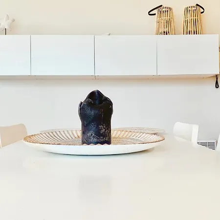 Apartament Ruim, Lichtrijk Met Groot Terras Uitstekend Gelegen In De Panne