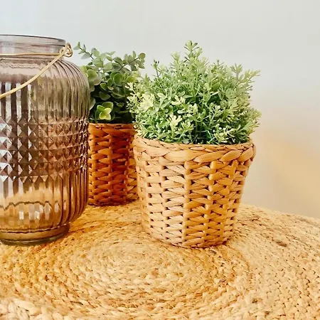 Apartament Ruim, Lichtrijk Met Groot Terras Uitstekend Gelegen In De Panne